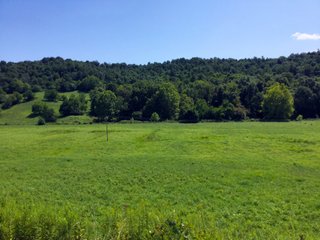 Tract 44 - Timberland & Farmland in Noble County, OH - LAND AUCTION - 12,200+/- ACRES OFFERED IN 65 TRACTS IN NOBLE COUNTY, OHIO